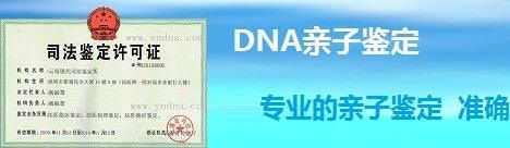 dna亲子鉴定机构