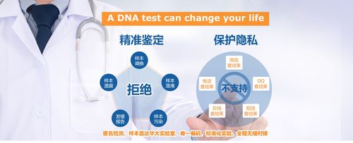 dna亲子鉴定