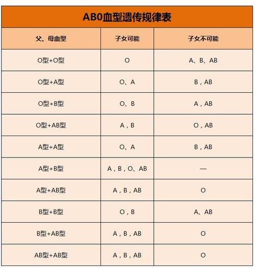 dna亲子鉴定多少钱价钱