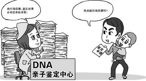 dna亲子鉴定费用