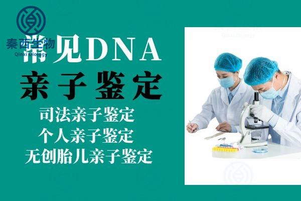 dna亲子鉴定价格