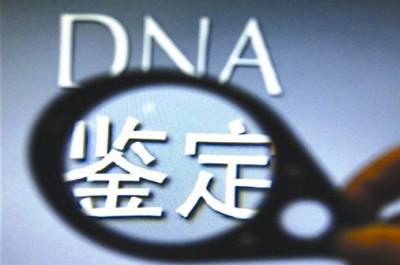 dna亲子鉴定需要多少