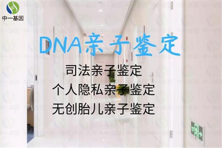 dna亲子鉴定电话