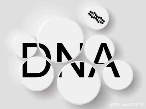 dna亲子鉴定多少