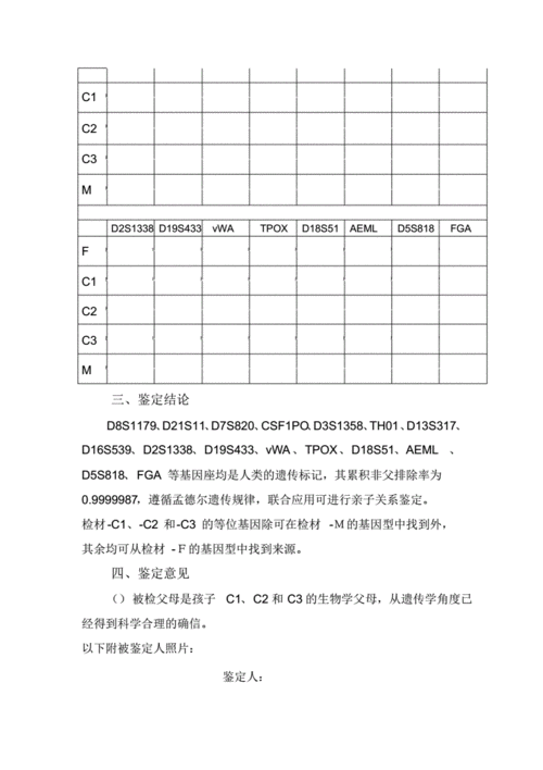 dna亲子鉴定模板