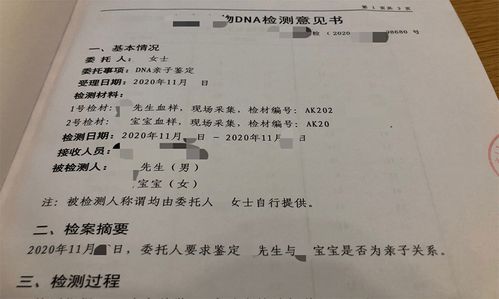 dna的亲子鉴定