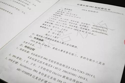 dna亲子鉴定相似度