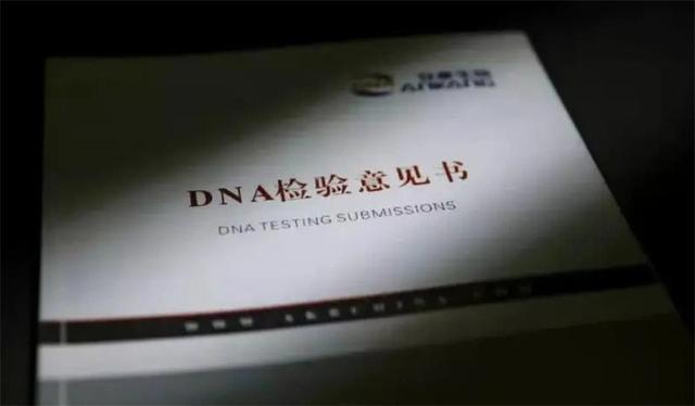 dna亲子鉴定需要什么