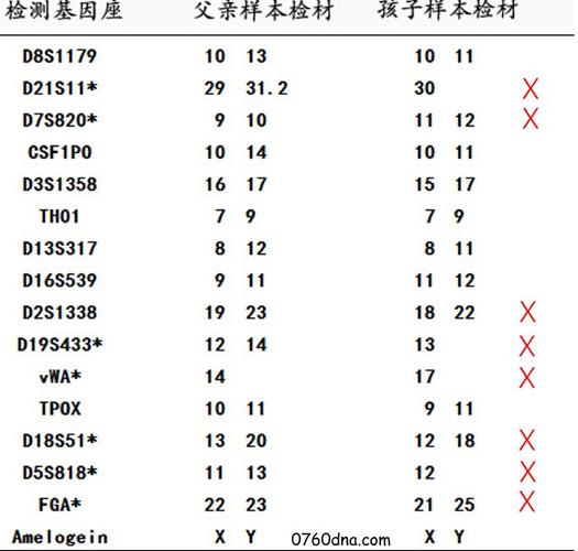 dna亲子鉴定原理