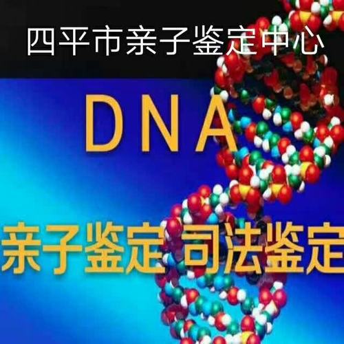 dna亲子鉴定的流程