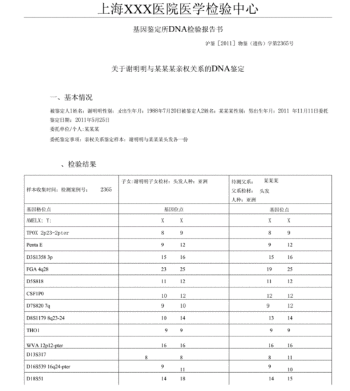 dna与亲子鉴定