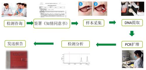 snp亲子鉴定