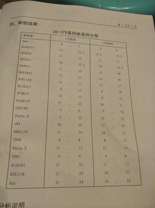 11周亲子鉴定