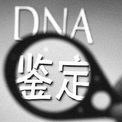 dna能做亲子鉴定吗