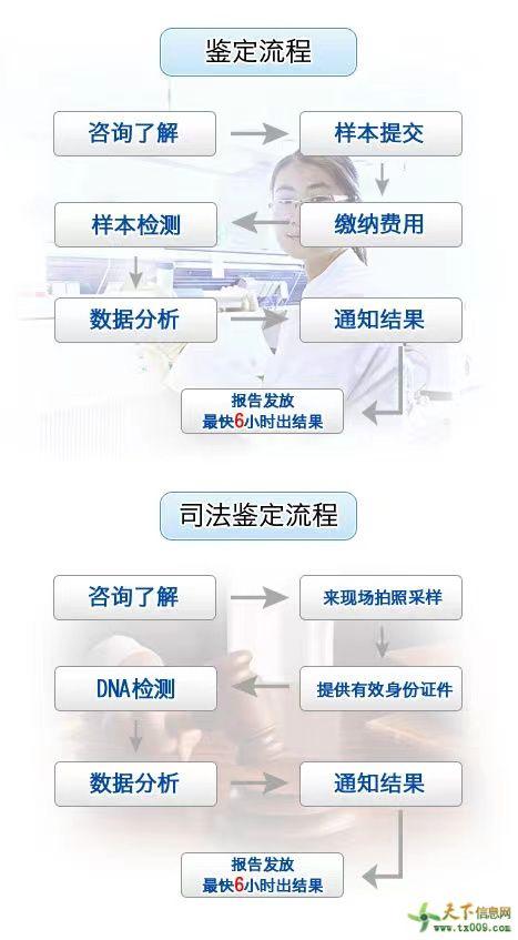 DNA亲子鉴定的原理是